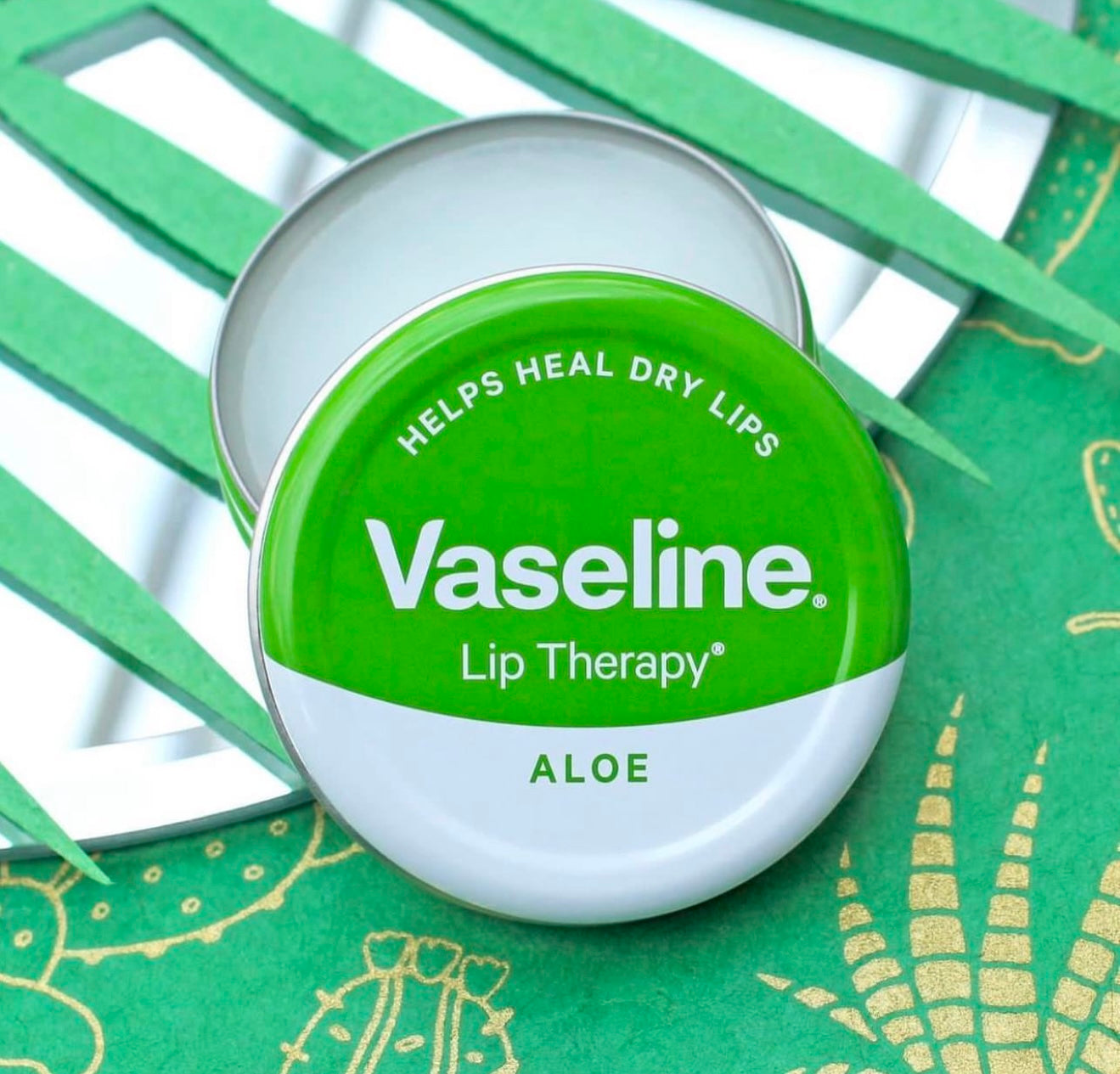 Vaseline Lip Therapy (Aloe Vera)